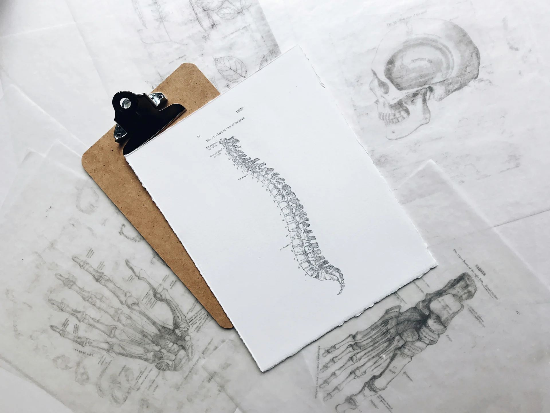 Birmingham Osteopathy